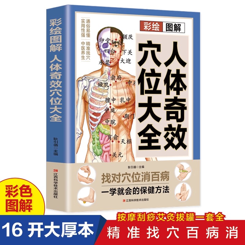 دليل تدليك نقاط الضغط والحفاظ  - مراجعة Health & Wellness Alegria وسعره